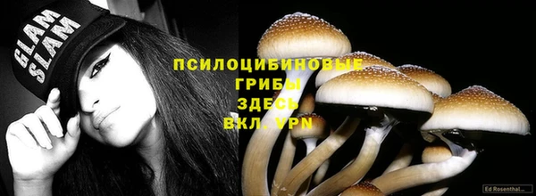 индика Кинешма